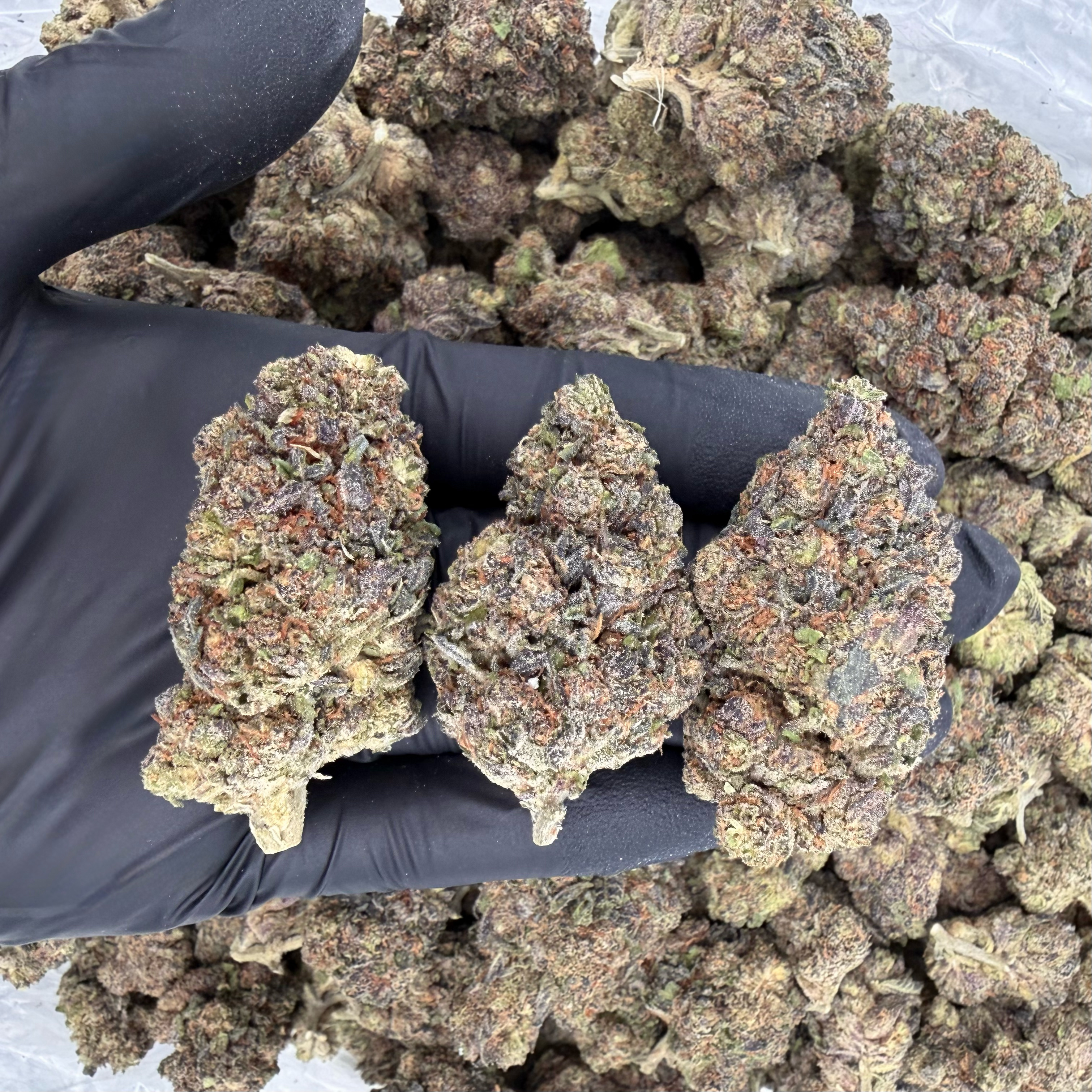 Candy Kush